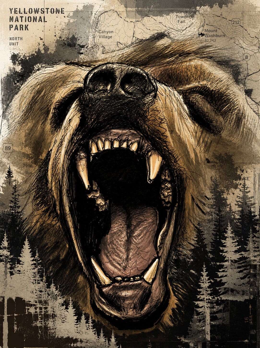 Illustration of a roaring bear with a background map and forest silhouette.