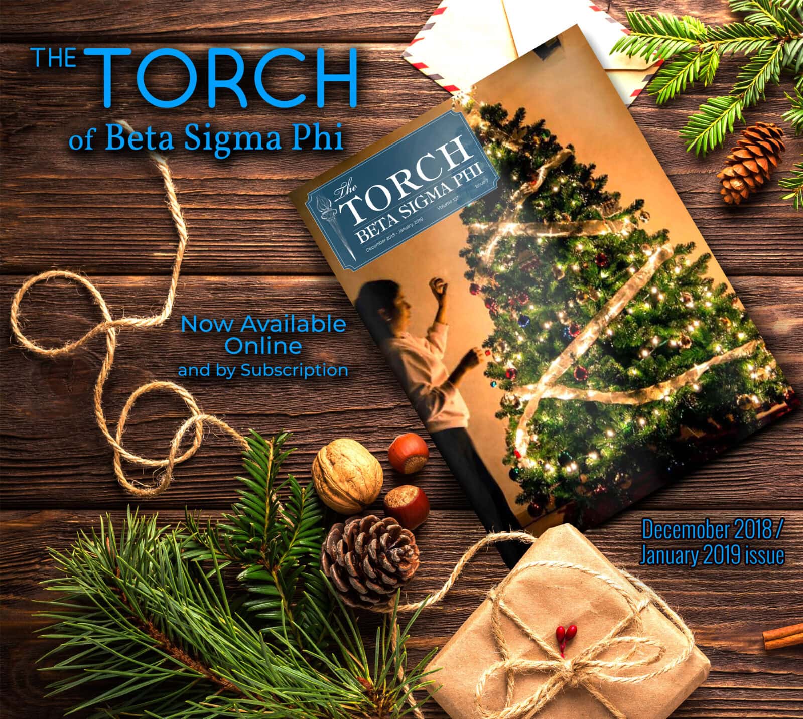 Magazine cover showcasing festive holiday design, Christmas tree, and marketing publication for brand development.