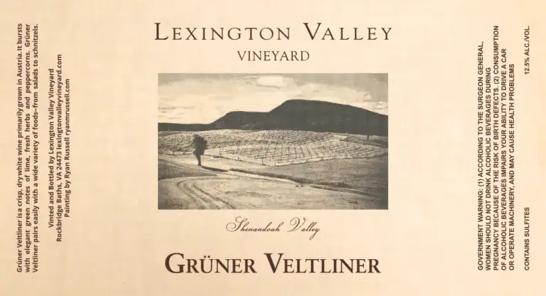A lush vineyard landscape with rolling hills and a solitary figure walking along a dirt path.