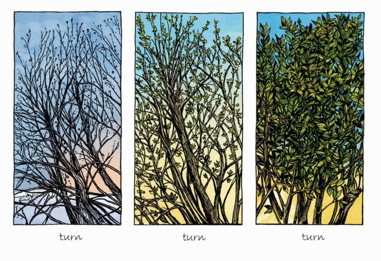 Three stylized tree illustrations showing seasonal changes from winter to summer.