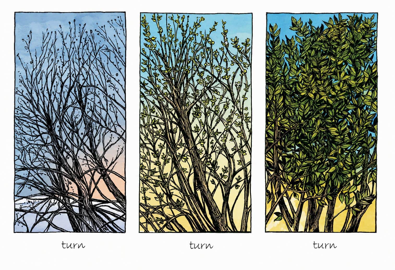 Three stylized tree illustrations showing seasonal changes from winter to summer.