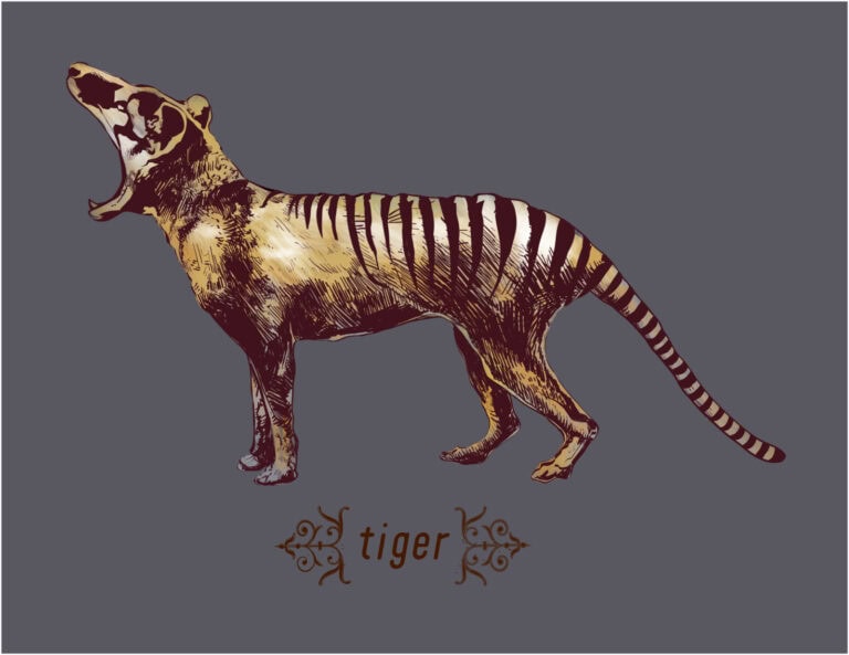 Bold tiger illustration emphasizing branding and visual identity for creative marketing campaigns.