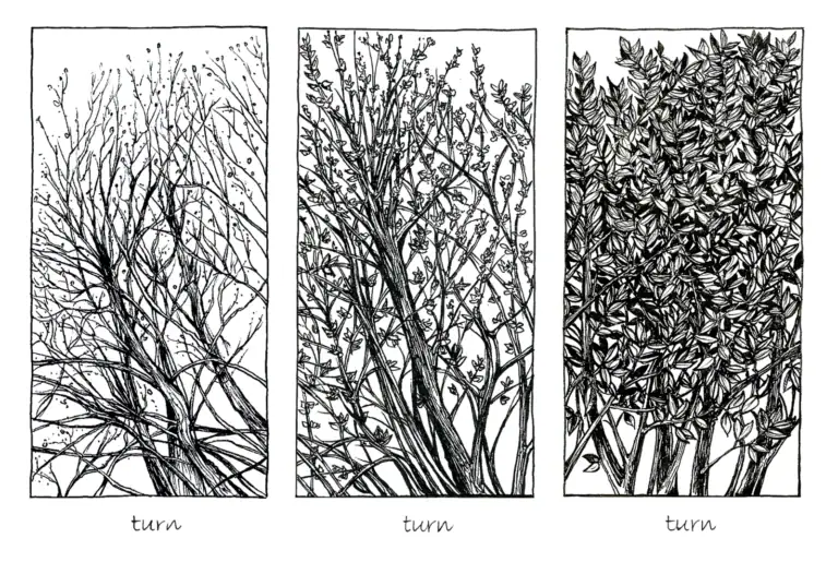 Artistic black-and-white line drawings of three different tree growth stages.
