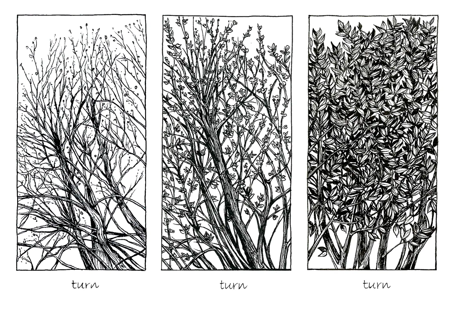 Artistic black-and-white line drawings of three different tree growth stages.